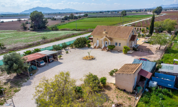 Resale - 7. Finca / Country property - Crevillent - Costa Blanca South