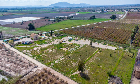 Resale - 7. Finca / Country property - Crevillent - Costa Blanca South