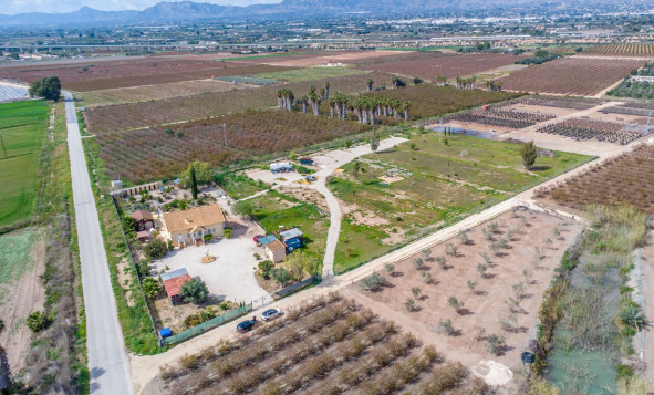 Resale - 7. Finca / Country property - Albatera - Albatera - Country