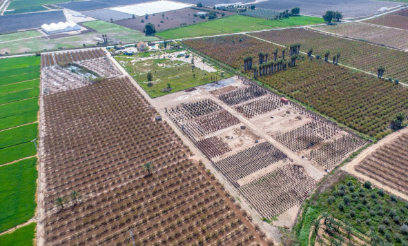 Resale - 7. Finca / Country property - Albatera - Albatera - Country