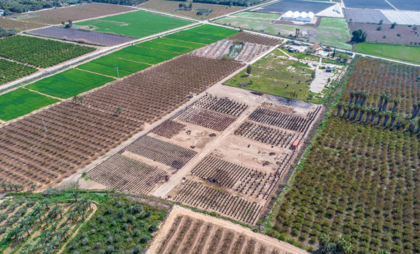 Resale - 7. Finca / Country property - Albatera - Albatera - Country