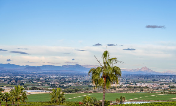 Reventa - 3. Casa indepiende - Algorfa - Costa Blanca Sur