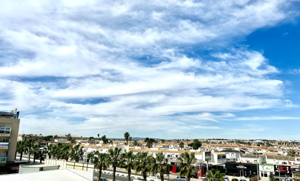 Reventa - 1. Apartamento / piso - Cabo Roig - Costa Blanca Sur