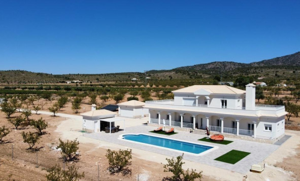 New Build - Villa - Pinoso