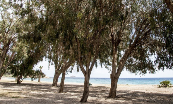 Obra nueva - 1. Apartamento / piso - Villajoyosa - Costa Blanca Norte 