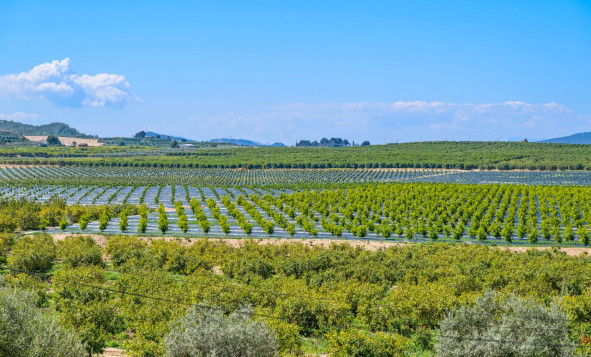 Reventa - 1. Apartamento / piso - Algorfa - Costa Blanca Sur