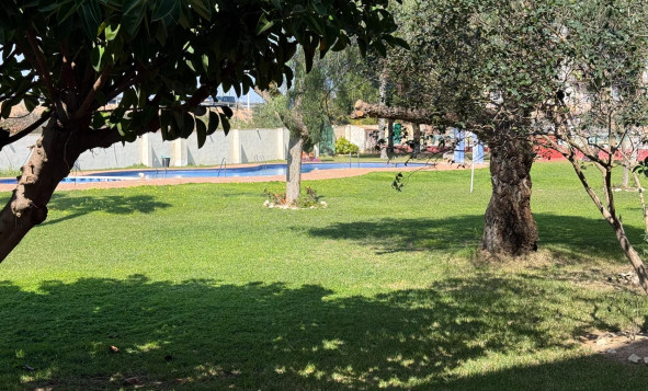 Herverkoop - 1. Appartement / flat - Torrevieja - Costa Blanca Zuid