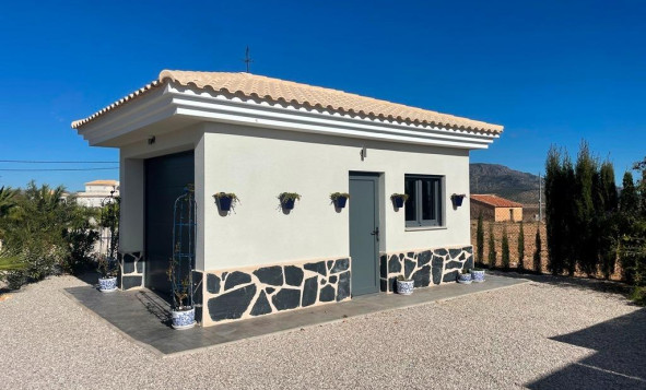 New Build - Villa - Pinoso