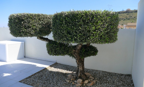 Resale - 3. Detached house - Benijófar - Costa Blanca South