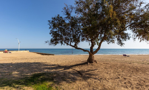 Reventa - 1. Apartamento / piso - Torrevieja - Costa Blanca Sur