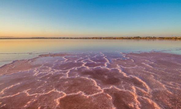 Reventa - 1. Apartamento / piso - Torrevieja - Costa Blanca Sur