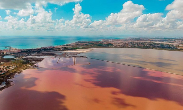 Reventa - 1. Apartamento / piso - Torrevieja - Costa Blanca Sur