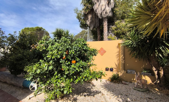 Resale - 3. Detached house - Guardamar del Segura - Costa Blanca South