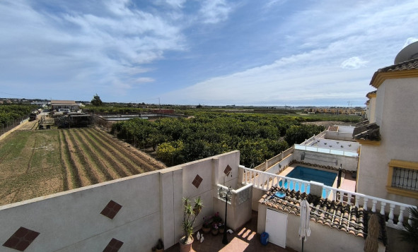 Resale - 3. Detached house - Guardamar del Segura - Costa Blanca South