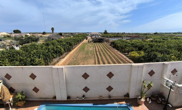 Resale - 3. Detached house - Guardamar del Segura - Costa Blanca South