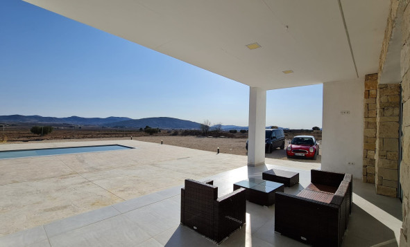 Reventa - 7. Finca - Pinoso - Pinoso - Country