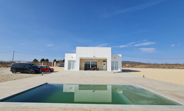 Reventa - 7. Finca - Pinoso - Pinoso - Country