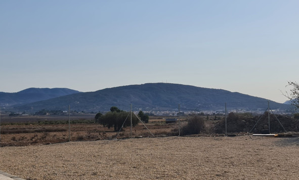 Reventa - 7. Finca - Pinoso - Pinoso - Country