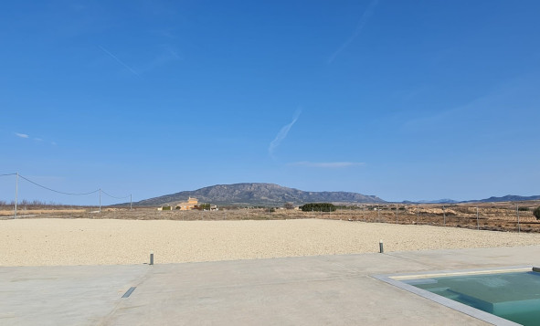 Reventa - 7. Finca - Pinoso - Pinoso - Country