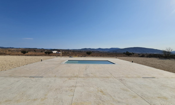 Reventa - 7. Finca - Pinoso - Pinoso - Country