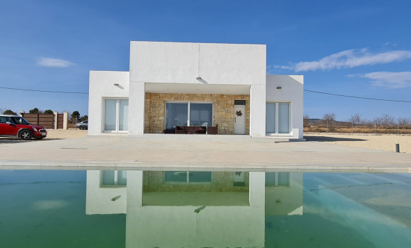 Reventa - 7. Finca - Pinoso - Pinoso - Country