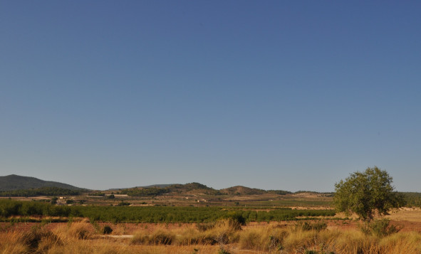 Resale - 7. Finca / Country property - Pinoso - Pinoso - Town