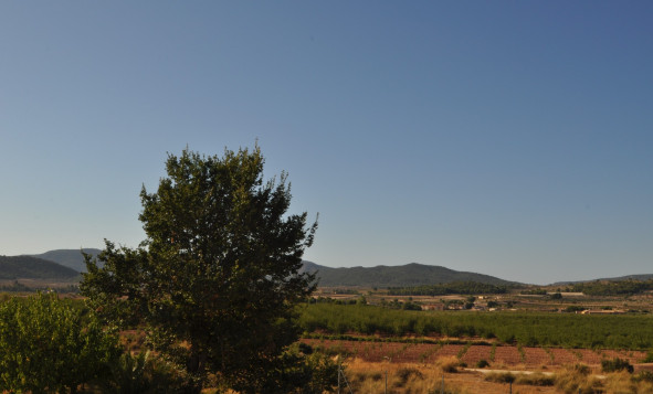 Resale - 7. Finca / Country property - Pinoso - Pinoso - Town