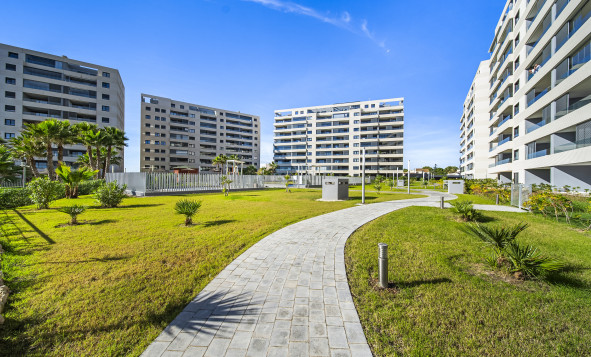 Reventa - 1. Apartamento / piso - Torrevieja - Costa Blanca Sur