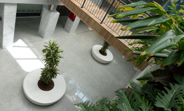 Lange termijn verhuur - Commercieel vastgoed - Orihuela Costa - Costa Blanca Zuid