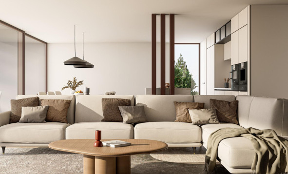 Obra nueva - 3. Casa indepiende - Pinoso - Costa Blanca Norte 