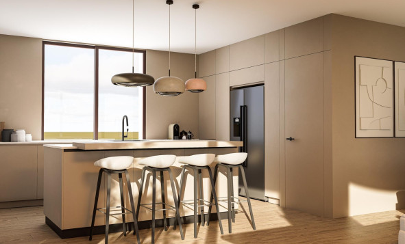 New build - 3. Detached house - Pinoso - Costa Blanca North