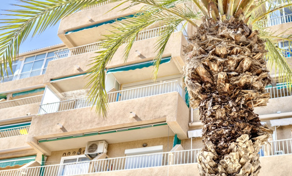 Resale - 1. Apartment / flat - Guardamar del Segura - Costa Blanca South