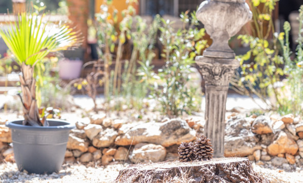 Resale - 5. Finca / Country Property - Bocairent - Costa Blanca North