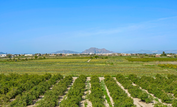 Herverkoop - 1. Appartement / flat - Daya Nueva - Costa Blanca Zuid