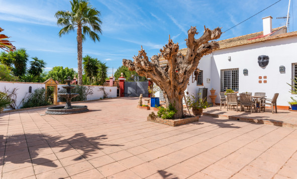 Resale - 7. Finca / Country property - Daya Nueva - Daya Nueva - Country