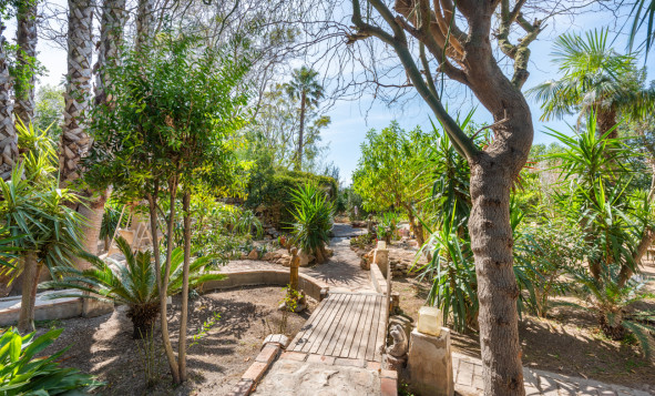 Resale - 7. Finca / Country property - Daya Nueva - Daya Nueva - Country