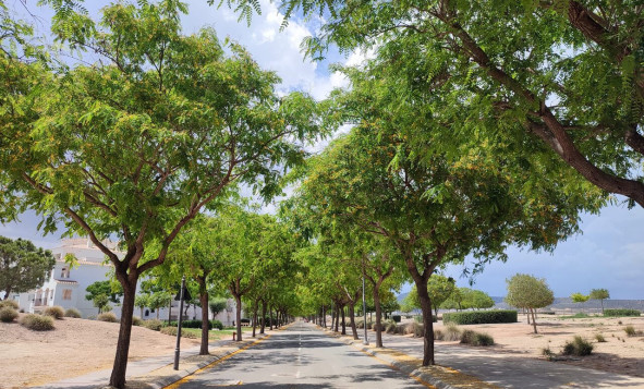 Resale - 1. Apartment / flat - Hacienda Riquelme Golf Resort - Hacienda Riquelme Golf Resort - Centre