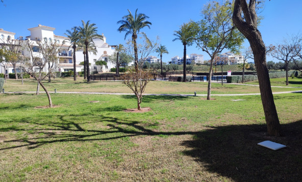 Resale - 1. Apartment / flat - Hacienda Riquelme Golf Resort - Hacienda Riquelme Golf Resort - Centre