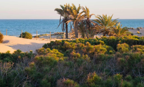 Obra nueva - 1. Apartamento / piso - Guardamar del Segura - Avda del Puerto