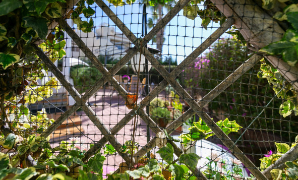 Resale - 1. Apartment / flat - Playa Flamenca - Costa Blanca South