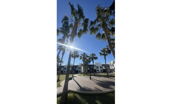 Reventa - 1. Apartamento / piso - La Zenia - Costa Blanca Sur