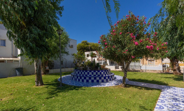 Reventa - 1. Apartamento / piso - Torrevieja - Costa Blanca Sur