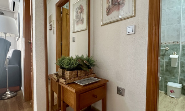 Reventa - 1. Apartamento / piso - Torrevieja - Playa Los Naufragos