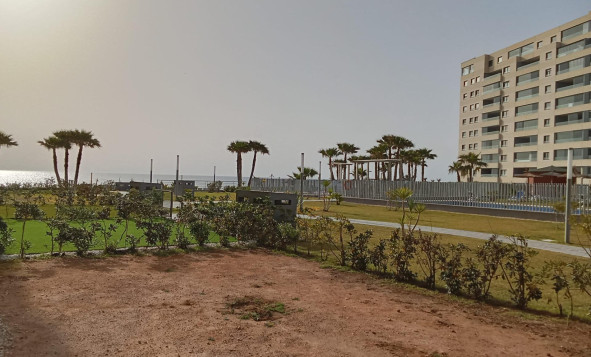 Reventa - 1. Apartamento / piso - Torrevieja - Costa Blanca Sur