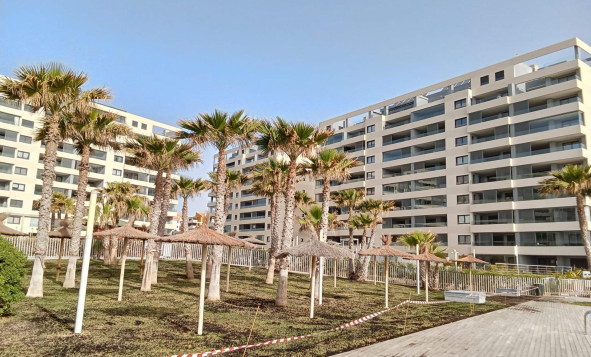 Reventa - 1. Apartamento / piso - Torrevieja - Costa Blanca Sur