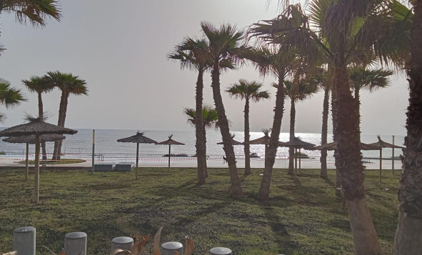 Reventa - 1. Apartamento / piso - Torrevieja - Costa Blanca Sur