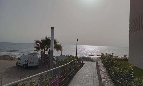 Reventa - 1. Apartamento / piso - Torrevieja - Costa Blanca Sur