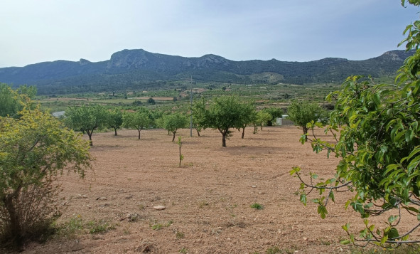 Resale - 6. Detached villa - La Romana - Costa Blanca North