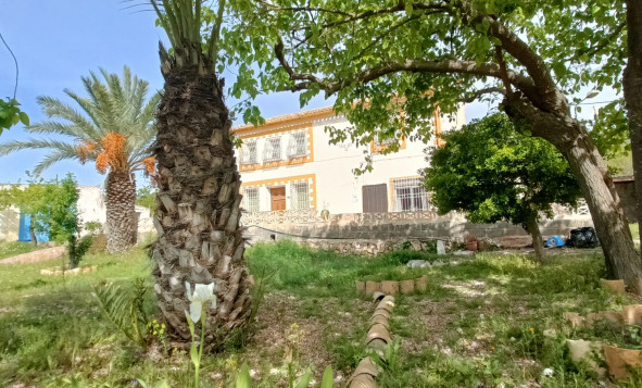 Resale - 6. Detached villa - La Romana - Costa Blanca North