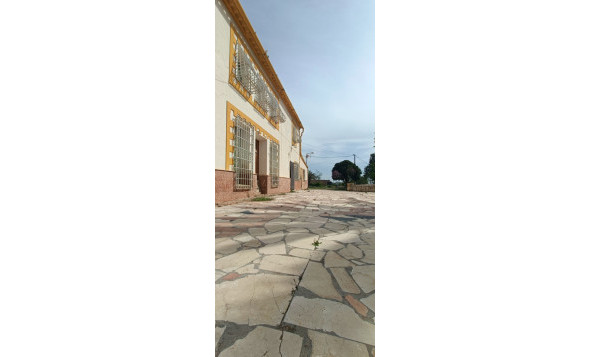 Resale - 6. Detached villa - La Romana - Costa Blanca North